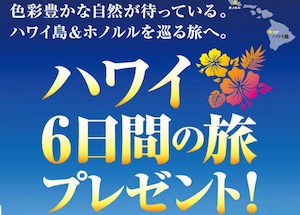 ハワイ旅行が当たる 全国ビスケット協会 2015 ビスケットまつり 懸賞で生活する懸賞主婦