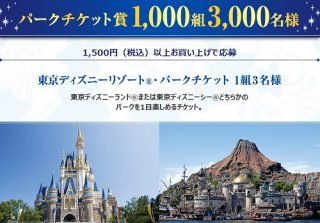 東京ディズニーリゾート®・ パークチケットも当たる☆花王「マジカルスマイルキャンペーン」