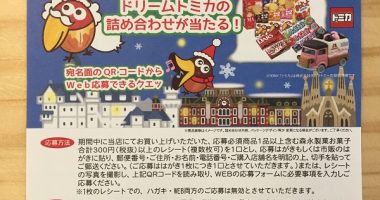 ヤマナカ×森永製菓「キョロちゃんからのクリスマスプレゼント