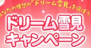 Wチャンスもアリ☆LOTTE「ドリーム雪見キャンペーン」