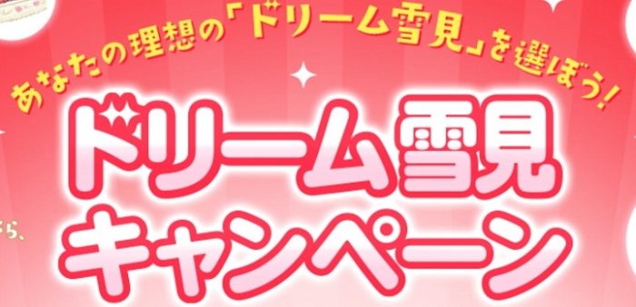 応募した「ドリーム雪見」をお届け！ / 「雪見だいふく」詰め合わせ