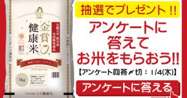 マザープラス