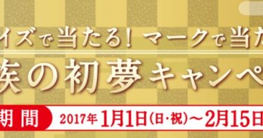 現金100万円が当たるチャンス☆丸美屋「家族の初夢キャンペーン!」