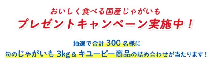 旬のじゃがいも3kg＆キユーピー商品の詰め合わせ