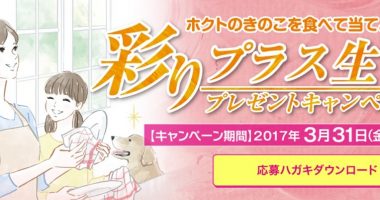 【ハガキ懸賞】豪華家電やギフトカードが当たる☆HOKTO「彩りプラス生活プレゼントキャンペーン」