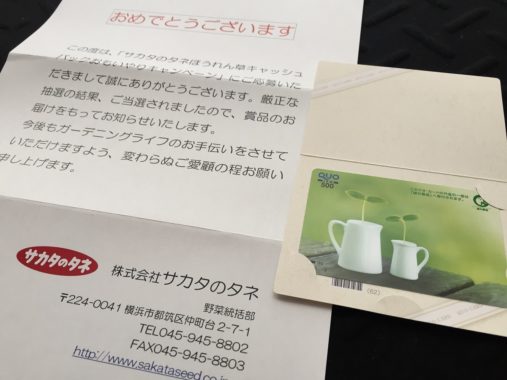 サカタのタネ「QUOカード 500円分」が当選