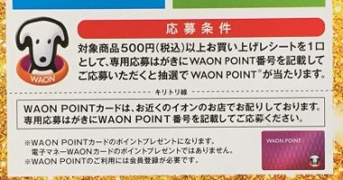 キリン × WAON「WAON POINTプレゼントキャンペーン