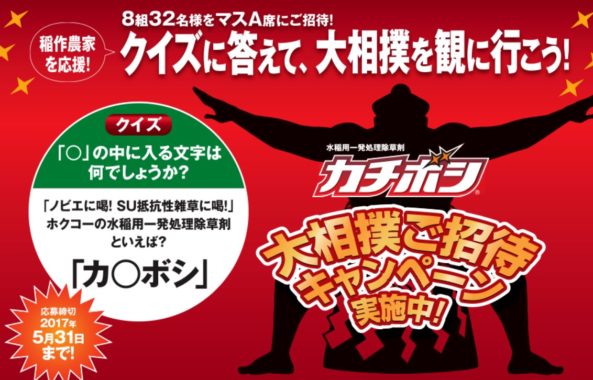 大相撲観戦チケット / DICKIES カジュアルデイバック / 新多機能ウエストポーチ