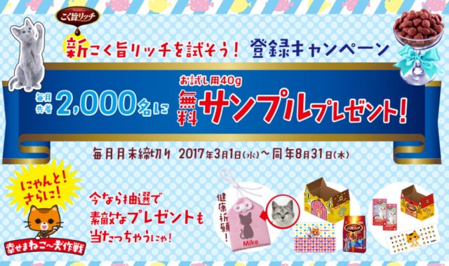 こく旨リッチお試し用40g無料サンプル1袋