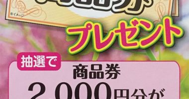 Yストア・ヤマザキビスケット「今日はちょっと奮発!商品券プレゼント