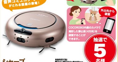 丸大食品の「わんぱく外ごはんキャンペーン