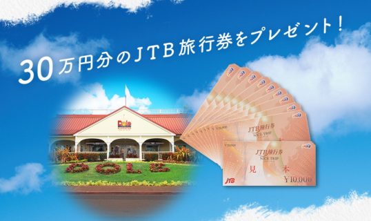 旅行券30万円分が当たる☆雪印メグミルク「Doleのルーツ ハワイに行こう！キャンペーン」