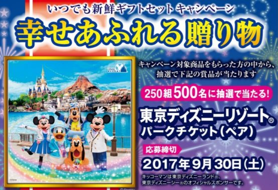 東京ディズニーリゾート パークチケット（ペア）