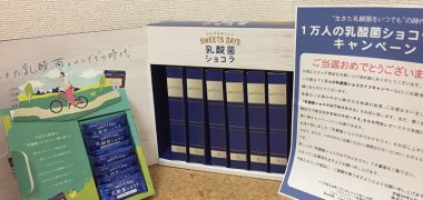 ロッテ「乳酸菌ショコラおでかけBOX」が当選
