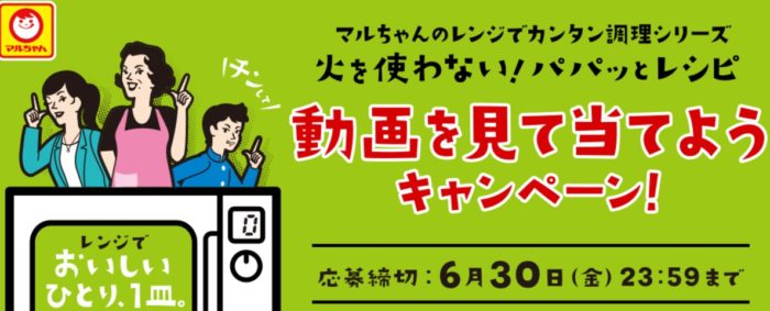 Panasonic スチームオーブンレンジ「ビストロ」