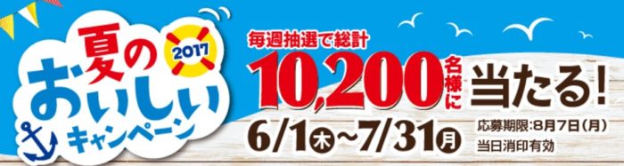 東京ディズニーリゾート パークチケット（ペア）