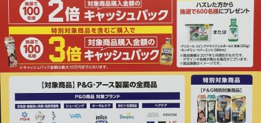 DCMホールディングス・P&G・アース製薬「夢の最大3倍キャッシュバックキャンペーン」