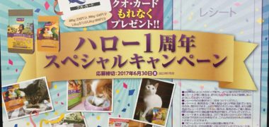 全プレ】ベッツ・チョイス・ジャパン「ハロー1周年スペシャルキャンペーン