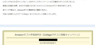 モニプラのWチャンスキャンペーンで「Amazonギフト券 500円分」が当選