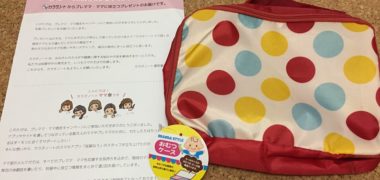カラダノートのキャンペーンで「マルチおむつポーチ」が当選