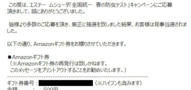 エステーのキャンペーンで「Amazonギフト券 500円分」が当選