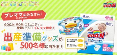 大王製紙が運営するママ・プレママさんのためのコミュニティ「GOO.N MAM コミュニティ