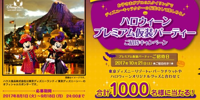 プレミアムパーティーコース / パークチケット10枚セットコース / ハロウィーンオリジナルグッズコース