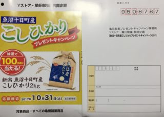 Yストア・亀田製菓「魚沼十日町産こしひかりプレゼントキャンペーン