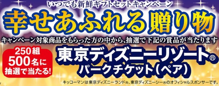東京ディズニーリゾート®パークチケット（ペア）