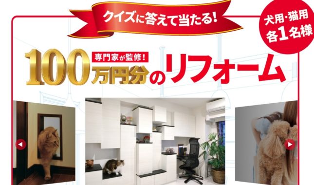 ペット用お部屋のリフォーム費用 100万円相当 / ペット用ヘアブラシ フーリー Mサイズ