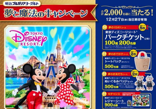 夢の1DAYコース / 夢のおでかけコース / 夢のお友だちコース / 東京ディズニーリゾートレジャーシート