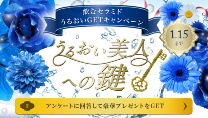 豪華5つ星 温泉旅行 / フェイシャル フィットネス パオ / QUOカード 500円分