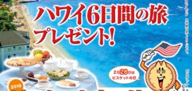全国ビスケット協会の「2018年ビスケットまつりキャンペーン