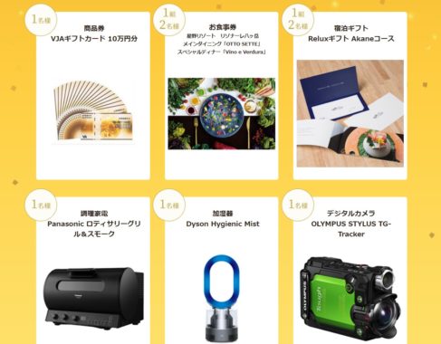  商品券 VJAギフトカード 10万円分 /  星野リゾート リゾナーレ八ヶ岳 スペシャルディナー /  宿泊ギフト Reluxギフト Akaneコース