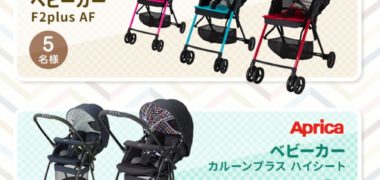 プレママベビーの「妊婦さんを応援する妊娠・出産にオススメグッズプレゼントサイト」キャンペーン