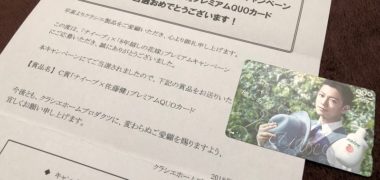 クラシエの懸賞で「ナイーブ×佐藤健 QUOカード」が当選