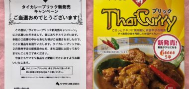 ヤマモリのキャンペーンで「タイカレープリック」が当選