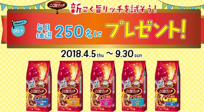 新こく旨リッチ / 新こく旨リッチ 無料サンプル