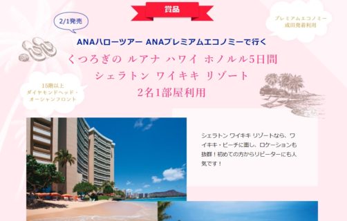 ANAセールス株式会社の「ANAでハワイへ行こう！豪華モニターキャンペーン