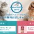 無料モニター懸賞！ペットフードが1ヵ月試せるお得なキャンペーン☆