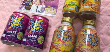 DyDoのキャンペーンで「ぷるっシュ!!ゼリー×スパークリング6本セット」が当選