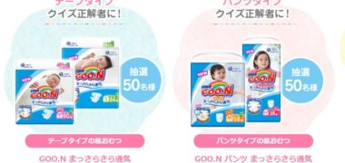 大王製紙 GOO.Nの「ハグ~ンを探せ!クイズキャンペーン