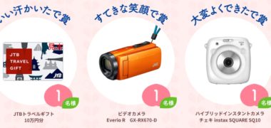 丹平製薬の「#モモセアであせもケア プレゼントキャンペーン