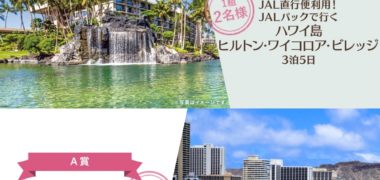 JALバケーションズの「Big Island キャンペーン