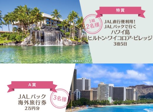 ハワイ島ヒルトン・ワイコロア・ビレッジ3泊5日 / JALパック海外旅行券 2万円分 / JALのマイル 5,000マイル / JALセレクション うどんですかい