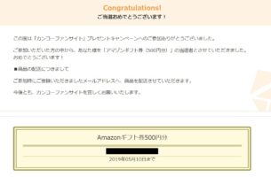モニプラのキャンペーンで「Amazonギフト券 500円分」が当選