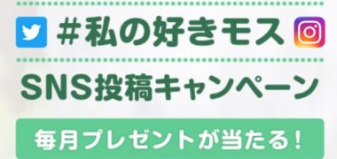モスバーガーの「#私の好きモス SNS投稿キャンペーン