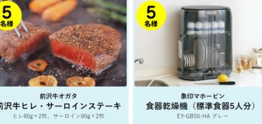 ニチバンの「キズを早くきれいに治す!ケアリーヴ 治す力 キャンペーン