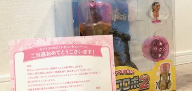 グリコのハガキ懸賞で「カプリコロボ2」が当選