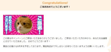 KADOKAWAのキャンペーンで「WebMoney 1,000円分」が当選
